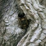 عطر ادکلن گریس چانل اکستریت بی دی کی پرفیومز - Gris Charnel Extrait BDK Parfums - بررسی، قیمت و خرید