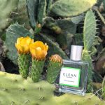 عطر ادکلن اپل بلاسم کلین - Apple Blossom Clean - بررسی، قیمت و خرید
