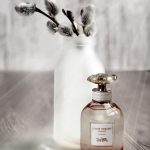 عطر ادکلن کُچ دِریمز سانسِت کوچ - Coach Dreams Sunset Coach - بررسی، قیمت و خرید
