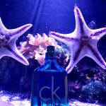 عطر ادکلن سی کی وان سامر 2021 کلوین کلاین - CK One Summer 2021 Calvin Klein - بررسی، قیمت و خرید