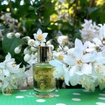 عطر ادکلن آکوا دی پارما جِلسومینو نوبیل آکوا دی پارما - Acqua di Parma Gelsomino Nobile Acqua di Parma - بررسی، قیمت و خرید