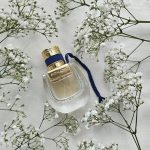 عطر ادکلن نومَد نویی دِ اِگیپت کلویی - Nomade Nuit d’Egypte Chloé - بررسی، قیمت و خرید