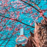 عطر ادکلن اندلس افوریا کلوین کلاین - Endless Euphoria Calvin Klein - بررسی، قیمت و خرید