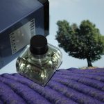 عطر ادکلن پیور لاوندر آزارو - Pure Lavender Azzaro - بررسی، قیمت و خرید