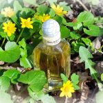 عطر ادکلن بالنسیاگا پاریس بالنسیاگا - Balenciaga Paris Balenciaga - بررسی، قیمت و خرید