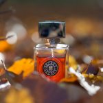 عطر ادکلن سیکرت آرته پروفومی - Secret Arte Profumi - بررسی، قیمت و خرید