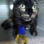 عطر ادکلن بیزار اتکینسونز - Bizarre Atkinsons - بررسی، قیمت و خرید