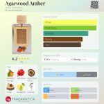 عطر ادکلن آگار وود امبر آژا پرفیومز - Agarwood Amber Azha Perfumes - بررسی، قیمت و خرید