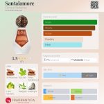 عطر ادکلن سانتالامور سنتاری پرفیومز - Santalamore Centauri Perfumes - بررسی، قیمت و خرید