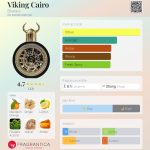 عطر ادکلن وایکینگ کایرو بهرارا - Viking Cairo Bharara - بررسی، قیمت و خرید