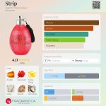 عطر ادکلن استریپ ایجنت پرووکاتور - Strip Agent Provocateur - بررسی، قیمت و خرید