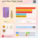 عطر ادکلن صد در صد پیور چیپی پرپل چیپی - 100% Pure Chipie Purple Chipie - بررسی، قیمت و خرید