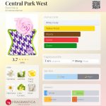 عطر ادکلن سنترال پارک وست باند نامبر ناین - Central Park West Bond No 9 - بررسی، قیمت و خرید
