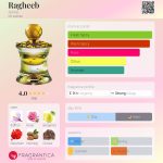 عطر ادکلن رغیب اجمل - Ragheeb Ajmal - بررسی، قیمت و خرید