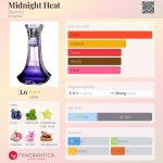 عطر ادکلن میدنایت هیت بیانسه - Midnight Heat Beyoncé - بررسی، قیمت و خرید