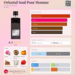 عطر ادکلن اورینتال سول پور هوم آنجل شلسر - Oriental Soul Pour Homme Angel Schlesser - بررسی، قیمت و خرید