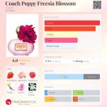عطر ادکلن کوچ پاپی فریزیا بلوسام کُوچ - Coach Poppy Freesia Blossom Coach - بررسی، قیمت و خرید