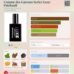 عطر ادکلن کومه دز گارسون سریس لاکس: پاچولی کوم د قغسون - Comme des Garcons Series Luxe: Patchouli Comme des Garcons - بررسی، قیمت و خرید