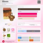 عطر ادکلن بلوم الهارمین پرفیومز - Bloom Al Haramain Perfumes - بررسی، قیمت و خرید