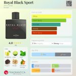 عطر ادکلن رویال بلک اسپرت آرنو سورل - Royal Black Sport Arno Sorel - بررسی، قیمت و خرید