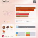 عطر ادکلن گادکینگ عزیزا ورد فرگرنس - Godking Aziza World Fragrances - بررسی، قیمت و خرید