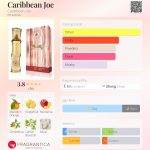 عطر ادکلن کریبین جو کریبین جو - Caribbean Joe Caribbean Joe - بررسی، قیمت و خرید