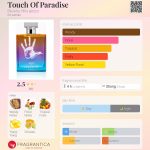 عطر ادکلن تاچ آف پارادایز بورلی هیلز نه صفر دو یک صفر - Touch Of Paradise Beverly Hills 90210 - بررسی، قیمت و خرید