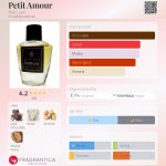 عطر ادکلن پتی آمور آوا لوکس - Petit Amour Ava Luxe - بررسی، قیمت و خرید