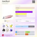 عطر ادکلن آمتیست کورزو د سیرکل - Amethyst Cuarzo The Circle - بررسی، قیمت و خرید