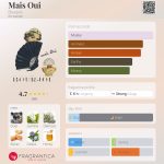 عطر ادکلن مِه اویی بژوا - Mais Oui Bourjois - بررسی، قیمت و خرید