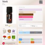 عطر ادکلن ماسک اکس - Musk AXE - بررسی، قیمت و خرید