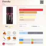 عطر ادکلن پرووک اکس - Provoke AXE - بررسی، قیمت و خرید