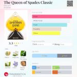 عطر ادکلن د کویین آو اسپیدز کلاسیک بروکارد - The Queen of Spades Classic Brocard - بررسی، قیمت و خرید