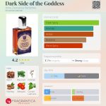 عطر ادکلن دارک ساید آو د گادس آنا زووریکینا پرفیومز - Dark Side of the Goddess Anna Zworykina Perfumes - بررسی، قیمت و خرید