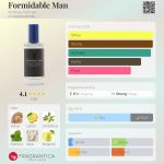 عطر ادکلن فورمیدبل من آندری پوتمن - Formidable Man Andree Putman - بررسی، قیمت و خرید
