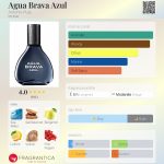 عطر ادکلن آگوا براوا آزول آنتونیو پوگ - Agua Brava Azul Antonio Puig - بررسی، قیمت و خرید
