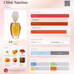 عطر ادکلن کلوئه نارسیس کلوئه - Chloé Narcisse Chloé - بررسی، قیمت و خرید