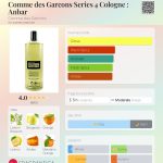 عطر ادکلن کام دی گرکونس سری ۴ کلون: عنبر کومه د گارسون - Comme des Garcons Series 4 Cologne : Anbar Comme des Garcons - بررسی، قیمت و خرید