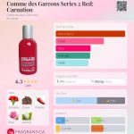 عطر ادکلن کام د گارسونز سریز ۲ رد: کارنیشن کام دس گارسونز - Comme des Garcons Series 2 Red: Carnation Comme des Garcons - بررسی، قیمت و خرید