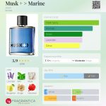 عطر ادکلن ماسک مارین اِیوون - Musk + > Marine Avon - بررسی، قیمت و خرید
