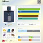 عطر ادکلن وینر اکسیس - Winner Axis - بررسی، قیمت و خرید