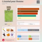 عطر ادکلن کریستوبال پور هوم بالنسیاگا - Cristobal pour Homme Balenciaga - بررسی، قیمت و خرید