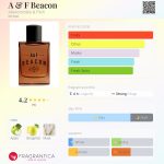 عطر ادکلن اِی اَند اِف بِیکِن ابرکرومبی اند فچ - A & F Beacon Abercrombie & Fitch - بررسی، قیمت و خرید