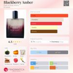 عطر ادکلن بلک بری امبر بث اند بادی ورکز - Blackberry Amber Bath & Body Works - بررسی، قیمت و خرید