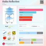 عطر ادکلن هایکو رفلکشن اون - Haiku Reflection Avon - بررسی، قیمت و خرید