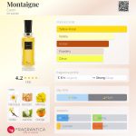 عطر ادکلن مونتاین کارون - Montaigne Caron - بررسی، قیمت و خرید