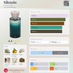 عطر ادکلن سیلنزیو کومو لیک - Silenzio Como Lake - بررسی، قیمت و خرید