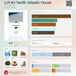 عطر ادکلن بیست و سه ان ای او آگوا د سورف - 23NAO North Atlantic Ocean Agua De Surf - بررسی، قیمت و خرید