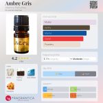 عطر ادکلن آمبرگریس آلکمی پرفیومز - Ambre Gris Alkemia Perfumes - بررسی، قیمت و خرید