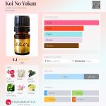 عطر ادکلن کوی نو یوکان آلکیمیا پرفیومز - Koi No Yokan Alkemia Perfumes - بررسی، قیمت و خرید